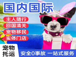 乌鲁木齐地窝堡机场快递国际宠物托运 【国